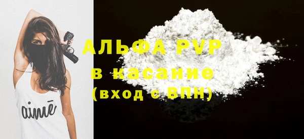 индика Аркадак