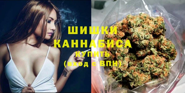 индика Баксан