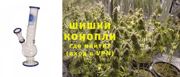 индика Баксан