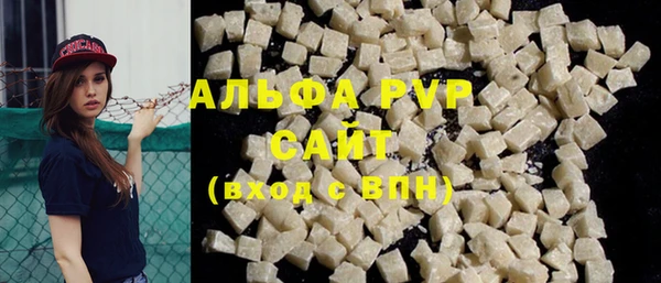 индика Аркадак