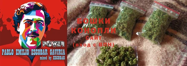 PSILOCYBIN Балабаново