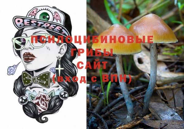 индика Аркадак
