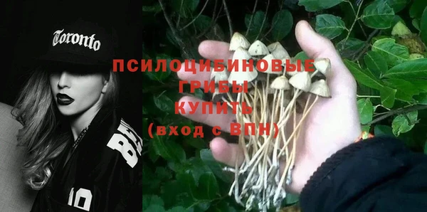 индика Баксан
