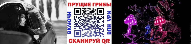 ссылка на мегу зеркало  Балей  Псилоцибиновые грибы Psilocybe 
