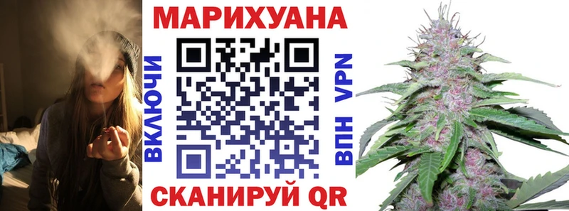 Конопля гибрид Балей